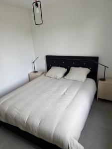 a bedroom with a large bed with two pillows at sologne detente in Souesmes