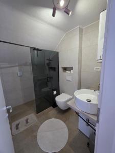 a bathroom with a shower and a toilet and a sink at Velebitska Vila in Gračac +39 photos