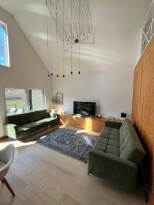 a living room with two green couches and a tv at Holzhaus Sikonda in Komló