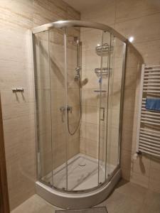 a shower with a glass enclosure in a bathroom at Apartament Blisko Lasu in Rzystnowo +19 photos