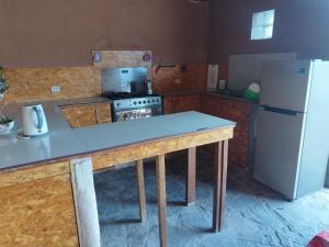 a kitchen with a counter and a refrigerator at GAIA kuelap in Nuevo Tingo