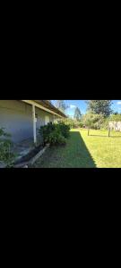 a picture of a yard with a house at Sitio de Lazer in Eldorado do Sul