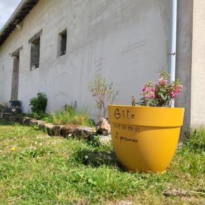 a yellow planter sitting in the grass next to a building at À la campagne, studio 25M2-pour 2p, CALME, wifi, jardin, parking in Yèvres