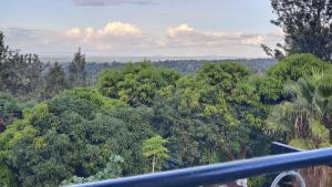a view of a forest of trees from a balcony at H&Dluxe in Murangʼa