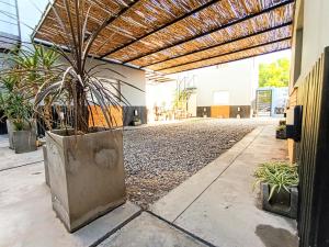 a potted plant in a large metal planter in a building at La Morenita dos dormitorios in Chilecito