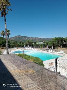 a swimming pool with a palm tree and a boardwalk at résidence la citadelle in Saint-Florent