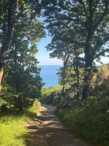 a dirt road with trees and the ocean in the background at THE Old DAIRY in Whitland +4 photos