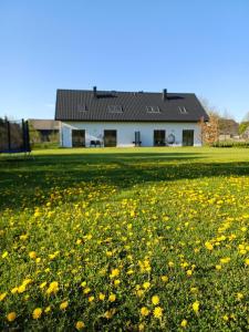 a field of flowers in front of a house at Apartamenty Ku Dolinie in Wilków