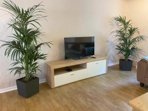 a living room with two potted plants and a television at Ferienhaus Mediterran in Bruttig-Fankel für 2-5 Personen in Bruttig-Fankel