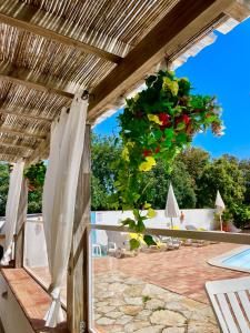 a pergola with a potted plant on a patio at Casa dos Avos in Faro