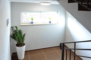 Fotografia z galérie ubytovania Apartamenty BM'Kruk v destinácii Stronie Śląskie
