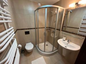 a bathroom with a shower and a toilet and a sink at Willa Plejady in Karpacz +63 photos