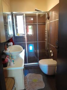 a bathroom with a shower and a toilet and a sink at Mulberry Tree in Agia Anna +47 photos