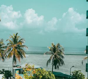 a view of a beach with palm trees and the ocean at The R One in Male City
