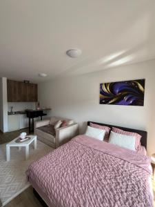a bedroom with a bed and a couch at Studio Vila Alto in Vrbas