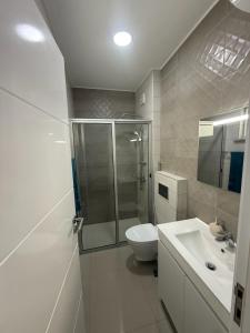 a bathroom with a shower and a toilet and a sink at Miles Dreams Laginha in Mindelo