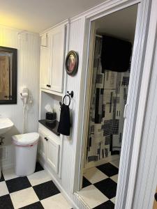 a bathroom with a shower with a toilet and a sink at Charming Rustic Barn in Spruce Pine +15 photos
