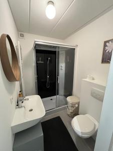 a bathroom with a shower and a sink and a toilet at Business Accommodation 'Comfort Living' in Geel