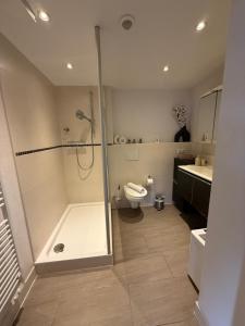 a bathroom with a shower and a toilet and a sink at Deniz Apartments in Kappel-Grafenhausen