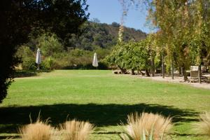 a park with a lawn with umbrellas and trees at Hacienda Bellavista in Villa Alemana