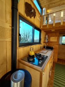 a kitchen with a stove in a tiny house at La tiny house Low Tech in Cléder +18 photos