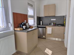 a kitchen with a sink and a counter top at Galamb Odú Apartman in Baja