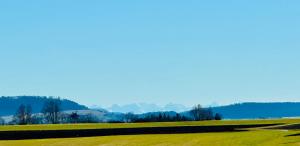 a field of grass with mountains in the background at Apartment Kneer - Panoramic View & Private Garden near Black Forest & Lake Constance in Donaueschingen