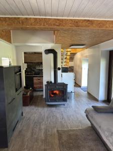a fireplace in a living room with a stove at Secret Forest Retreat in Ptujska Gora