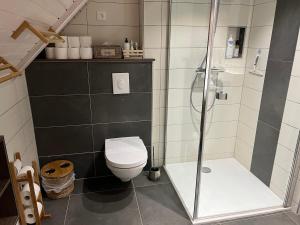 a bathroom with a shower and a toilet at Chalet Z en Alsace in Barr +27 photos