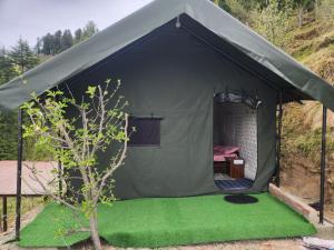a black tent with a green lawn in it at New Kufari Apple Valley camping in Shimla