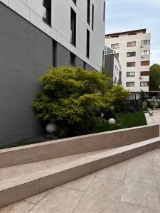 a bush is sitting in front of a building at Herastrau Prestige Apartment WIN in Bucharest