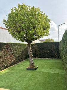 a tree in the middle of a green lawn at Maison bord de mer pour 2 à 6 pers in La Tranche-sur-Mer