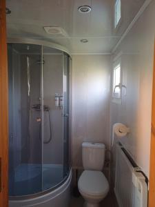 a bathroom with a toilet and a glass shower at Agroturystyka Kameralna93 in Ochaby