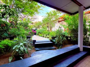 a garden with a bunch of plants and trees at Garden Cottage Homestay BB in Wattala