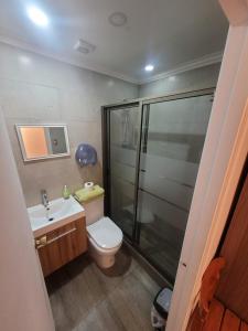 a bathroom with a shower and a toilet and a sink at Hotel Traslaviña in Viña del Mar