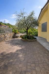 a tree in a courtyard next to a building at La casa di Fedra in Imperia +3 photos