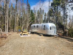 a trailer parked in the woods next to a picnic table at Orange Lake Airstream in Whiting