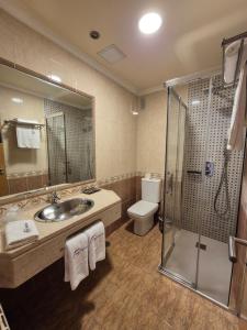 a bathroom with a sink and a shower and a toilet at Hotel HHB Pontevedra Confort in Pontevedra +15 photos