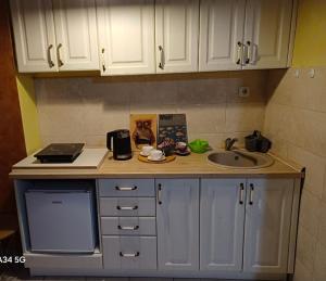 a kitchen counter with a sink and a microwave at Lakea Apartments in Virpazar