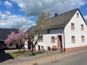 a white building with a black roof and a tree at S & C Ferienhaus in Oberbettingen