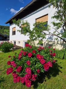 a bush of flowers in front of a house at Hiša Žičanka in Loče pri Poljčanah