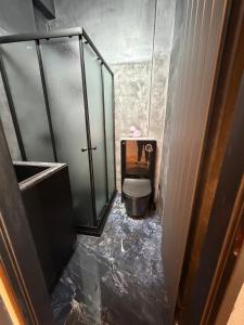 ein Badezimmer mit Toilette und Glasdusche in der Unterkunft Dream flat in Pilsen
