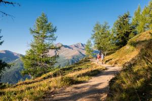a group of people walking on a dirt trail in the mountains at Bioblockhaus Katschberg in Katschberghöhe +13 photos