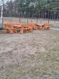 a row of wooden picnic tables in a park at Pokój 2osobowy in Swornegacie +1 photo
