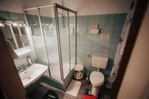 a bathroom with a shower and a toilet and a sink at Landhotel Herscheider Mühle in Herscheid