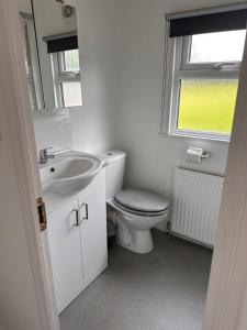 a bathroom with a toilet and a sink and a window at Toad Hall Suite in Chelmsford +35 photos