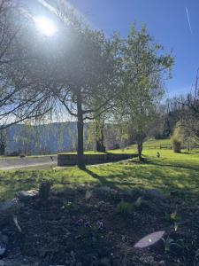 a park with trees and flowers in the grass at Gîte de Rille in Castelnau-Durban +1 photo