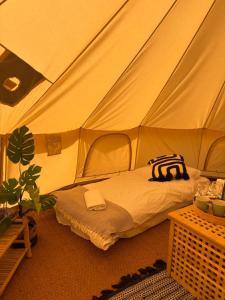 a bedroom with a bed in a tent at Cheviot Glamping Ltd in Ford