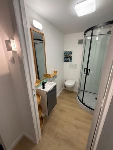 a bathroom with a shower and a sink and a toilet at Duplex sympa Verviers in Verviers