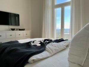 a bedroom with a bed with a dresser and a window at Wohlfühl-Apartment Elbtal in Radebeul +9 photos